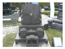 sec1_image