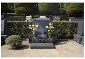 sec1_image