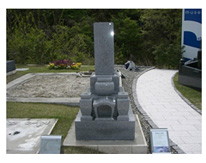sec1_image