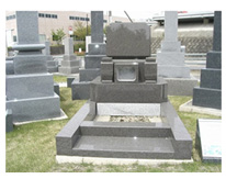 sec3_image
